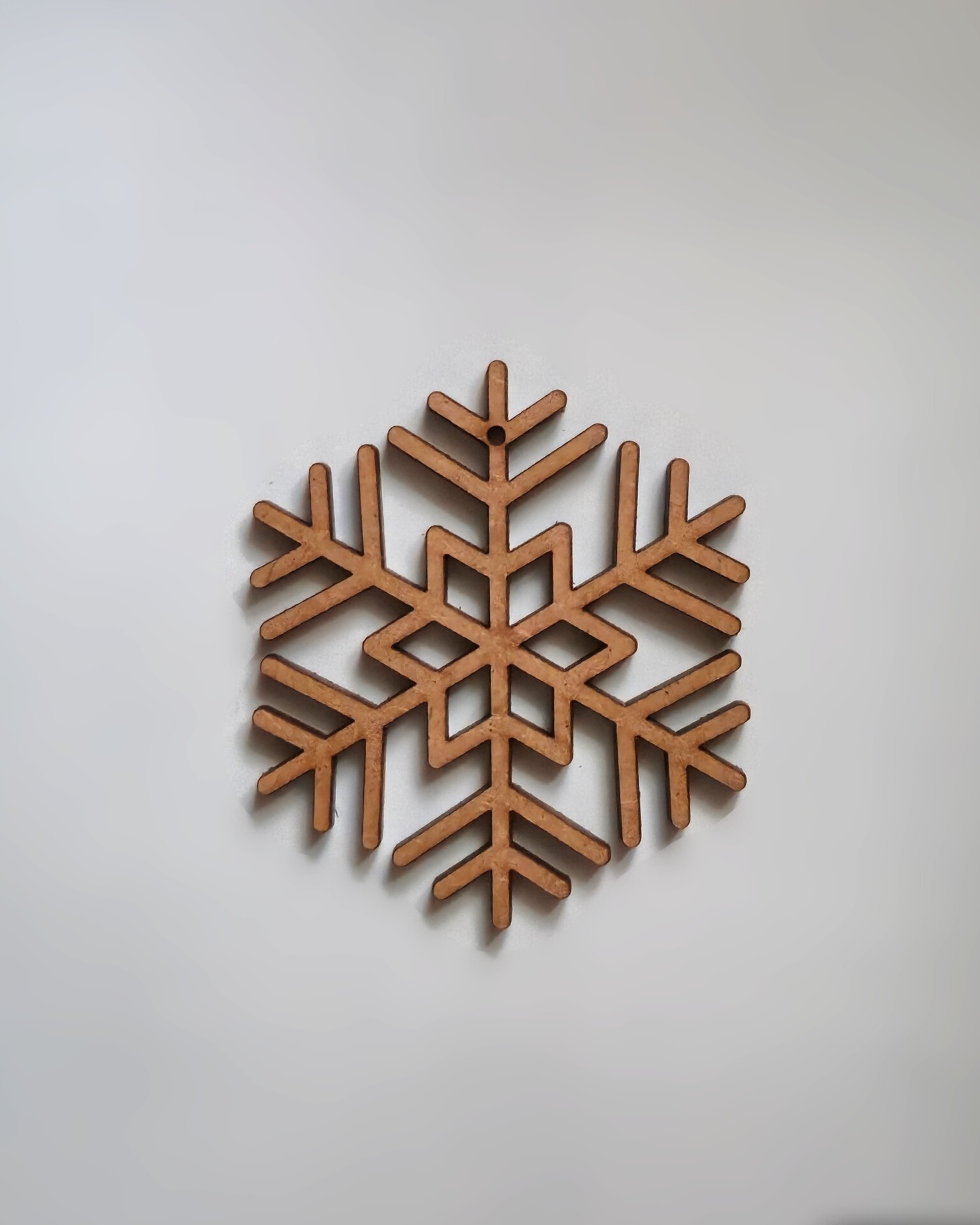 20251007_164721 Fulg de Nea - Steluța